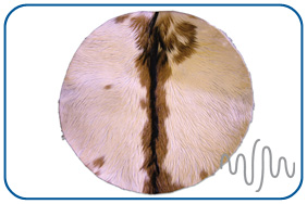 Replacement Djembe skin with full hair